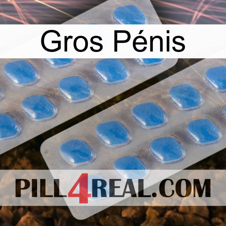 Gros Pénis 23